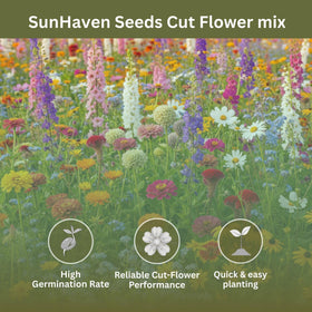 SunHaven Seeds calendula-forget-me-not-bishop's-flower mix adds long-lasting garden color.