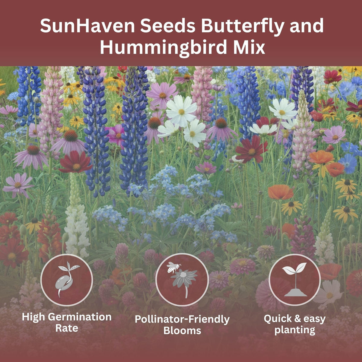 Dense seed mix offers broad coverage for an easy-to-maintain garden bed.