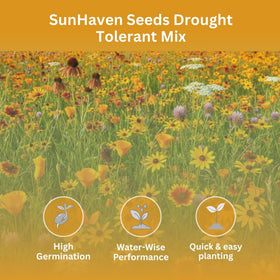 SunHaven Seeds drought-tolerant wildflower mix bloom meadow adds color to dry slopes