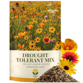 SunHaven Seeds drought-tolerant wildflower mix packaging shown for long-term storage and easy reseal