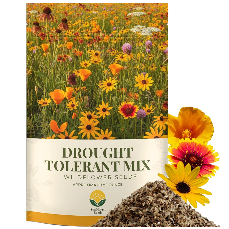 SunHaven Seeds drought-tolerant wildflower mix packaging shown for long-term storage and easy reseal