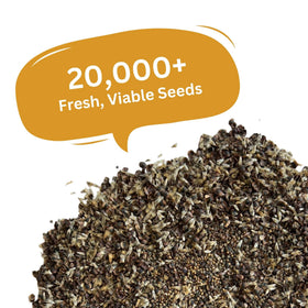 SunHaven Seeds flowers attract bees and butterflies, supporting a pollinator-friendly garden