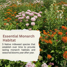 SunHaven Seeds garden-plan shot showing a monarch-friendly landscape.