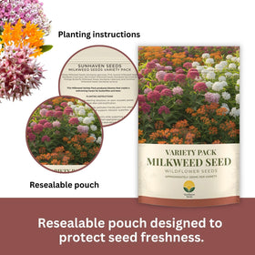 SunHaven Narrowleaf milkweed seeds ideal for naturalized meadow styles.