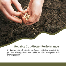 SunHaven Seeds non-GMO seed mix offers reliable gardening results.