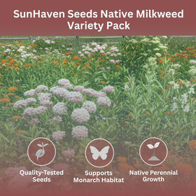 SunHaven Orange Butterfly milkweed seeds bring bright clusters to pollinator beds.