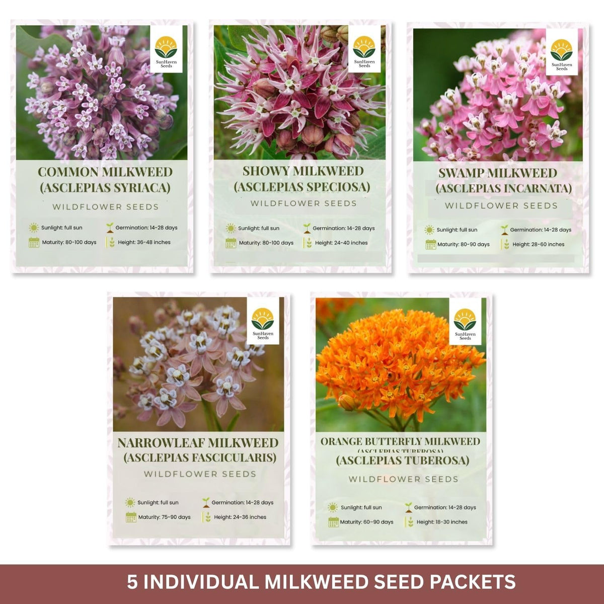 SunHaven Pink Swamp milkweed seeds promoting pollinator habitat in sunny borders.