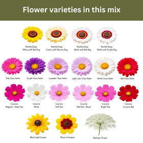 SunHaven Seeds pollinator-friendly mix is easy to grow in many climates.