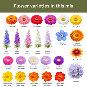 SunHaven Seeds season-long harvest colors create ongoing bouquet opportunities.