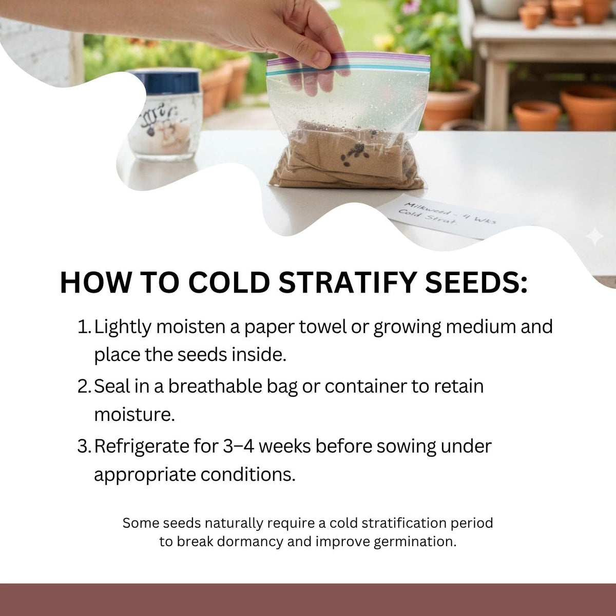 SunHaven Seeds resealable pouch with clear planting instructions for easy sowing.