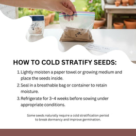 SunHaven Seeds resealable pouch with clear planting instructions for easy sowing.