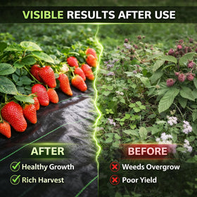 Sunifier weed barrier on a driveway edge demonstrates weed suppression alongside durability.