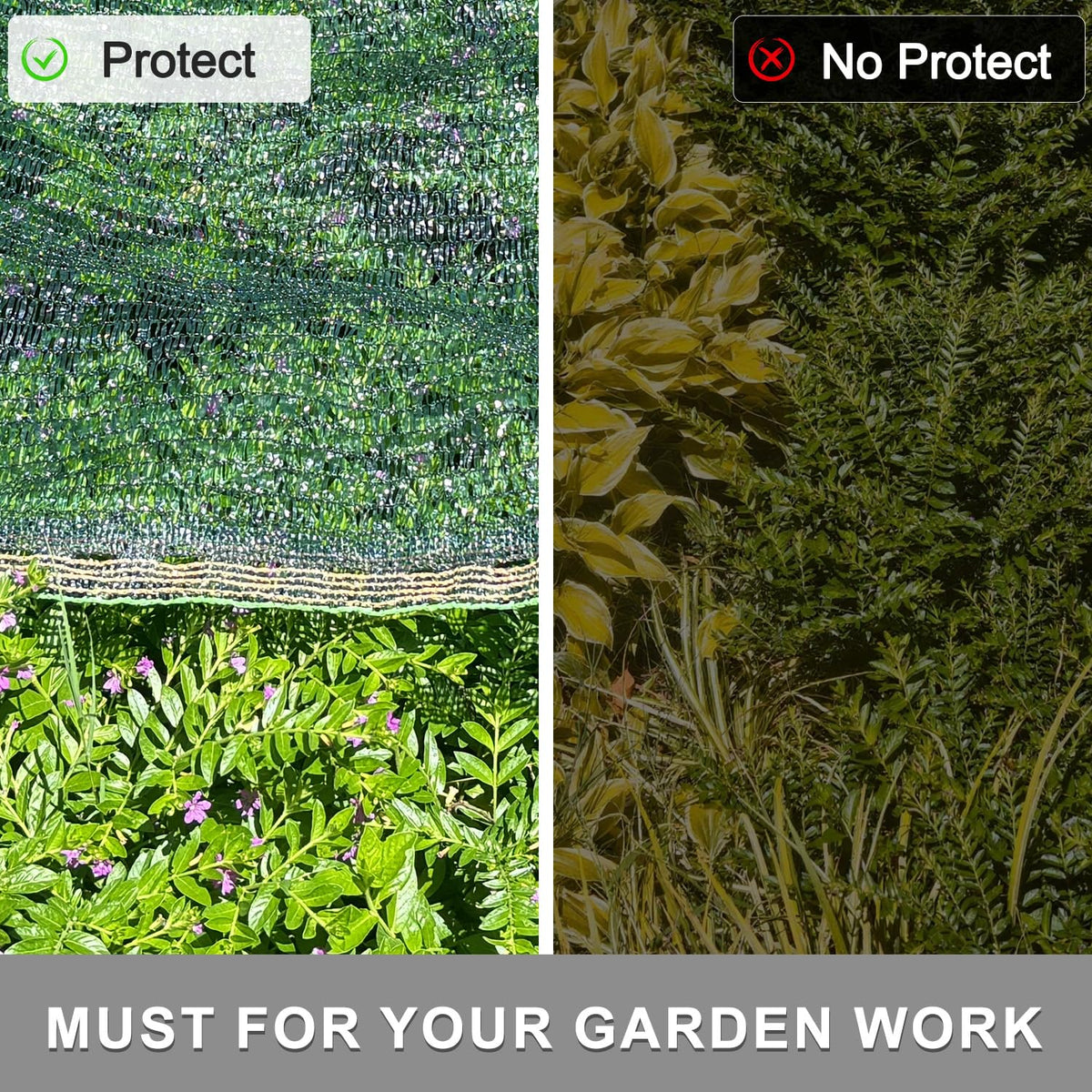 Sunny Guard greenhouse shade keeps seedlings cool without stifling growth.