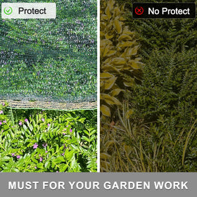 Sunny Guard greenhouse shade keeps seedlings cool without stifling growth.