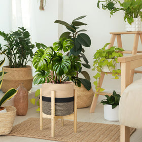 Sunnychicc indoor organizer basket with stand, versatile storage for plants and more.