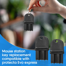 Sunnychicc spare keys improve convenience for multiple locations.