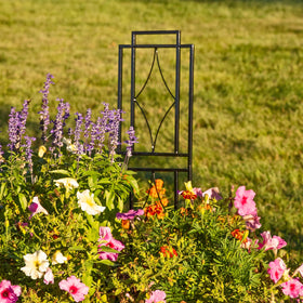 Sunnydaze Decor decorative pair elevates curb appeal while guiding plant growth.