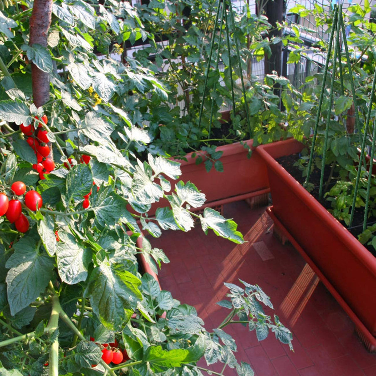 Sunnyglade garden stakes organized in use for neat planting beds.