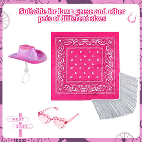 Sunnymove disco cowgirl goose outfit fringe bandana adds retro flair to lawn geese
