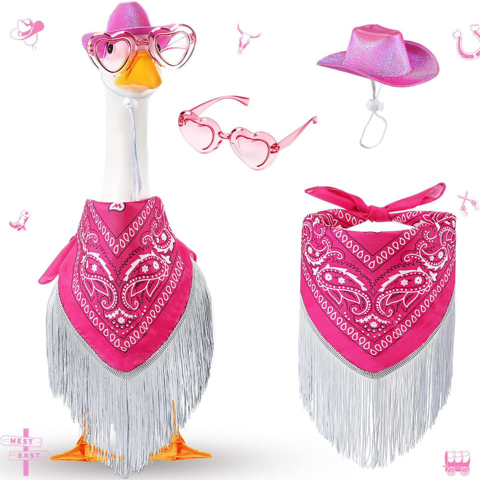 Sunnymove goose outfit hat on porch goose for festive decor