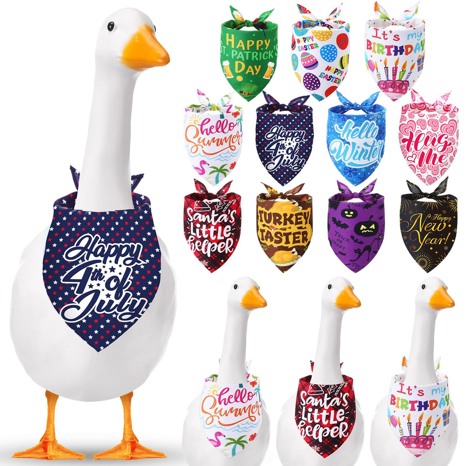 Sunnymove goose bandana collection on a porch goose for festive curb appeal