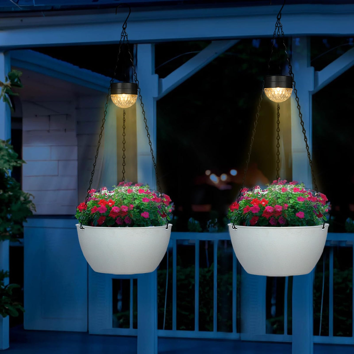 SUNNYPARK flower herbs trailing plants display on a balcony