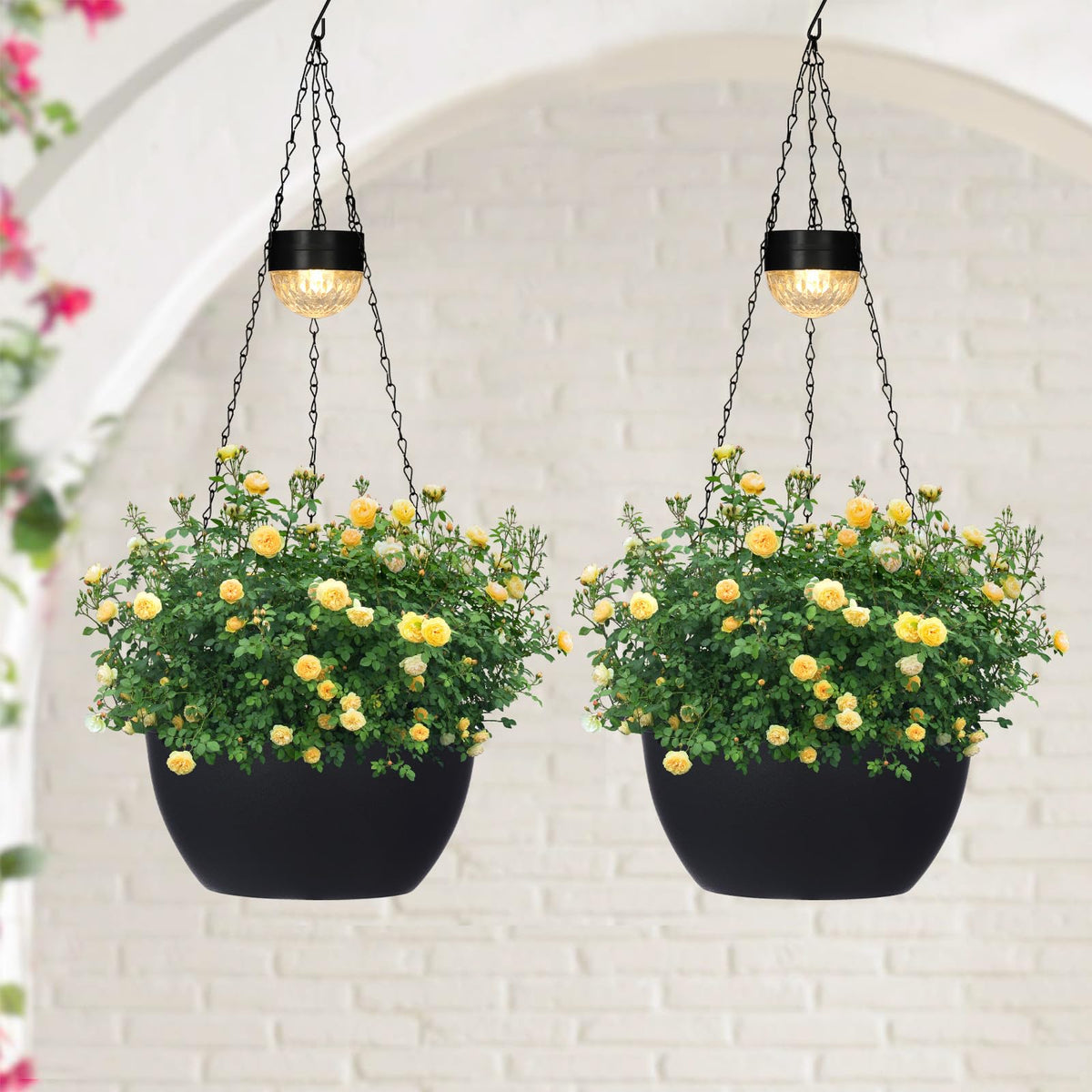SUNNYPARK hanging planter sphere with LED light enhances twilight ambiance