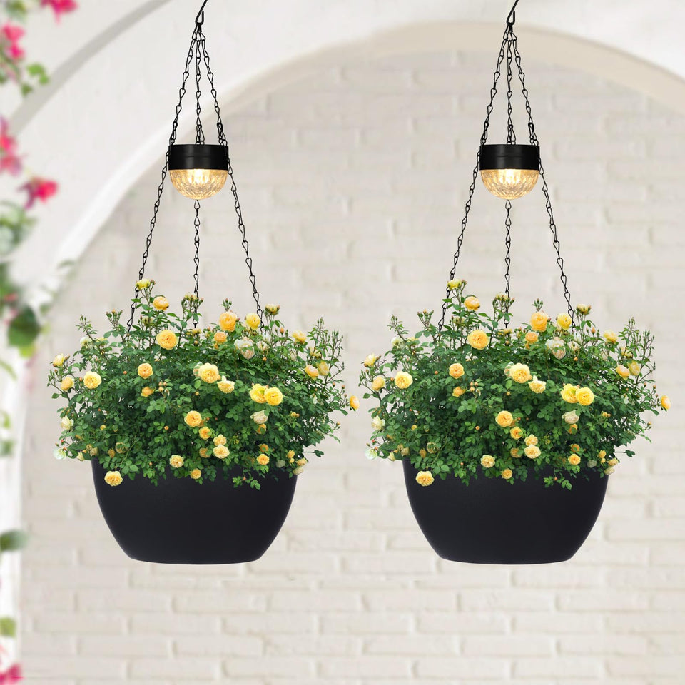 SUNNYPARK hanging planter sphere with LED light enhances twilight ambiance