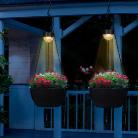 SUNNYPARK versatile hanging planter for flowers, herbs, or trailing plants