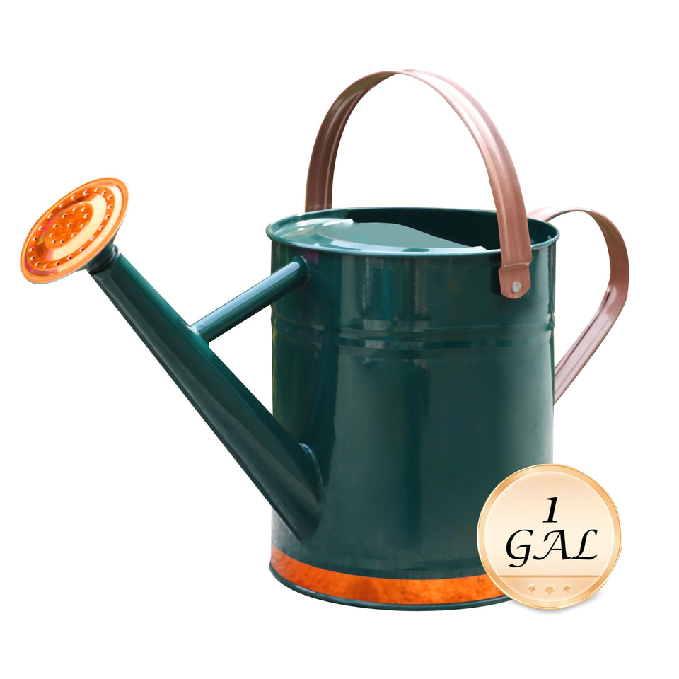 SunnyTong metal watering can 1 gallon outdoor use for efficient plant care
