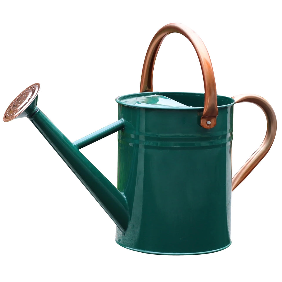 SunnyTong NewGreen 1 gallon watering can full product ready for plant care indoors or outdoors.