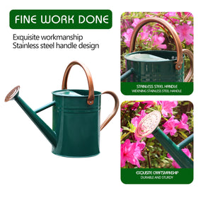 SunnyTong NewGreen watering can shows dual handles for easy lifting.
