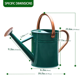 SunnyTong NewGreen can with removable spout for flexible watering.