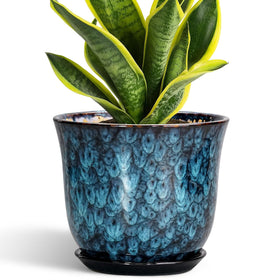 SUNPOTFOR 8-inch ceramic planter in blue glaze, ideal for indoor display.