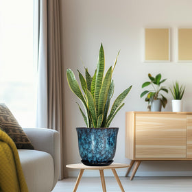 SUNPOTFOR handcrafted blue planter design adds character to any room.
