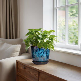 SUNPOTFOR orchid in blue ceramic pot highlights blooms