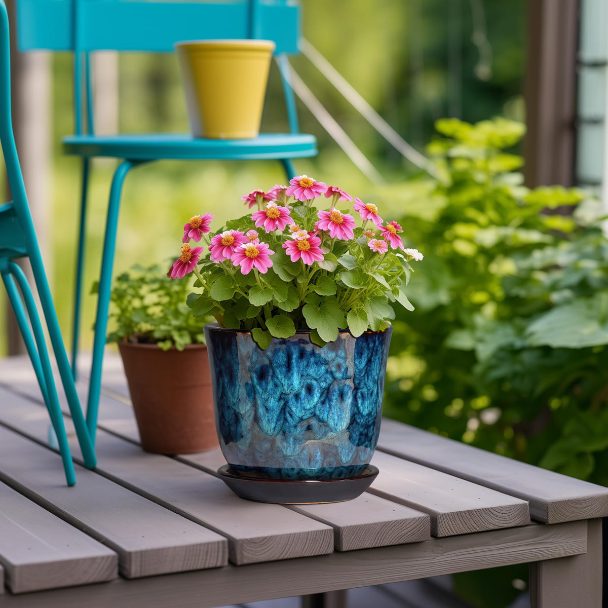 SUNPOTFOR blue pot with snake plant for modern interior styling