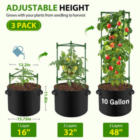 Suntee 10-gallon grow bags provide breathable roots and easy mobility for containers.