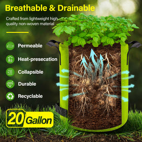 Suntee grow bag with dual-side handles for easy transport around the garden.