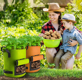 Suntee grow bag is reusable season after season with simple cleaning.