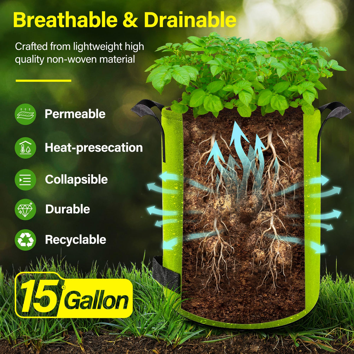 Suntee grow bag with large Velcro window for quick plant maturity checks.
