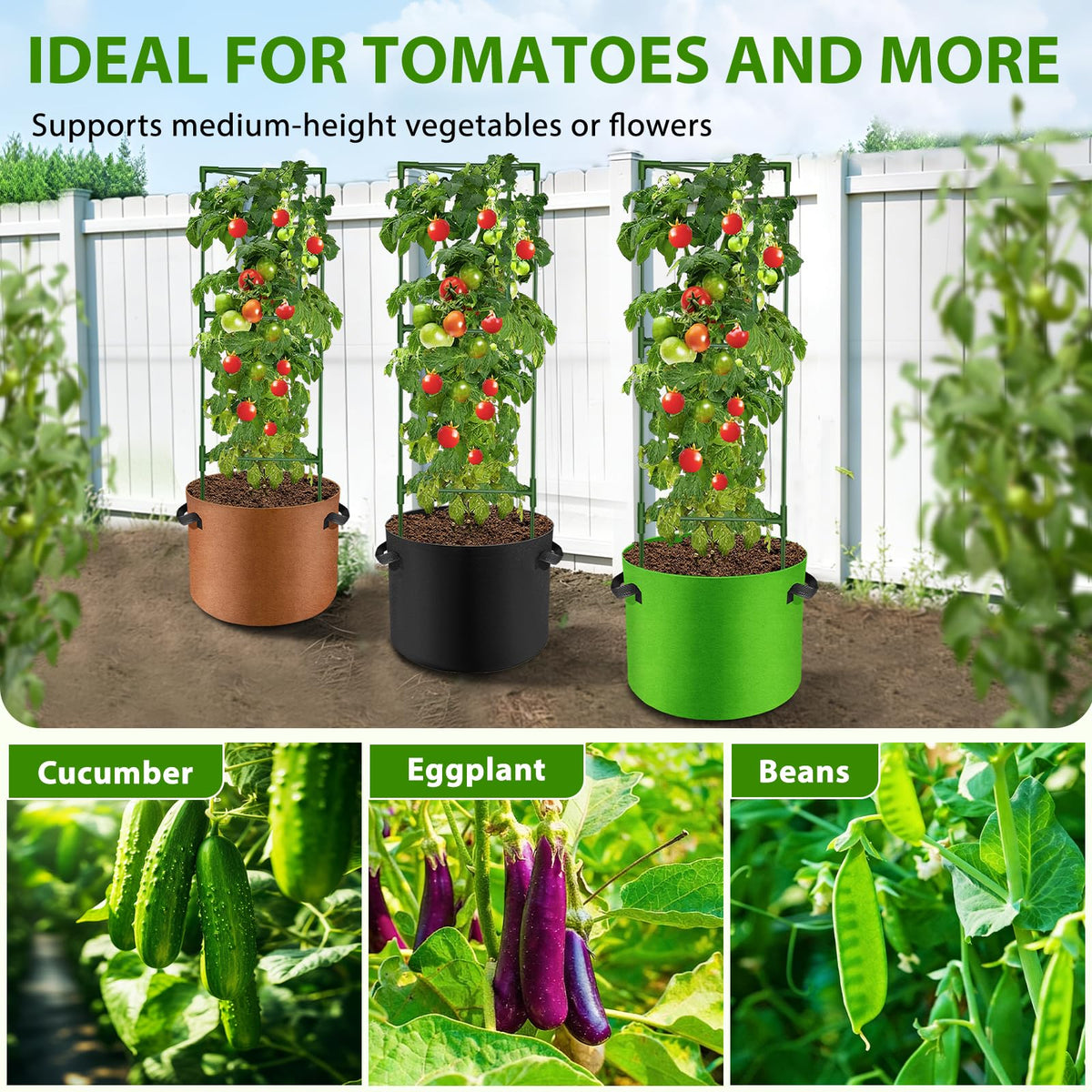 Suntee multi-plant solution supports tomatoes and other climbing plants upright.