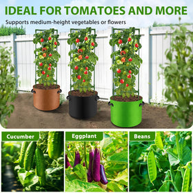 Suntee multi-plant solution supports tomatoes and other climbing plants upright.