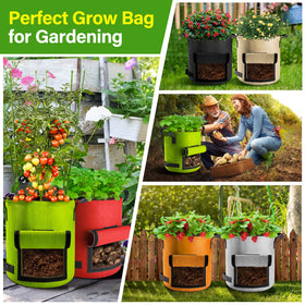 Suntee versatile grow bags for indoor and outdoor use in small spaces.