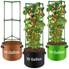 Suntee tomato cage assembly demonstrates a sturdy, space-saving balcony garden setup.