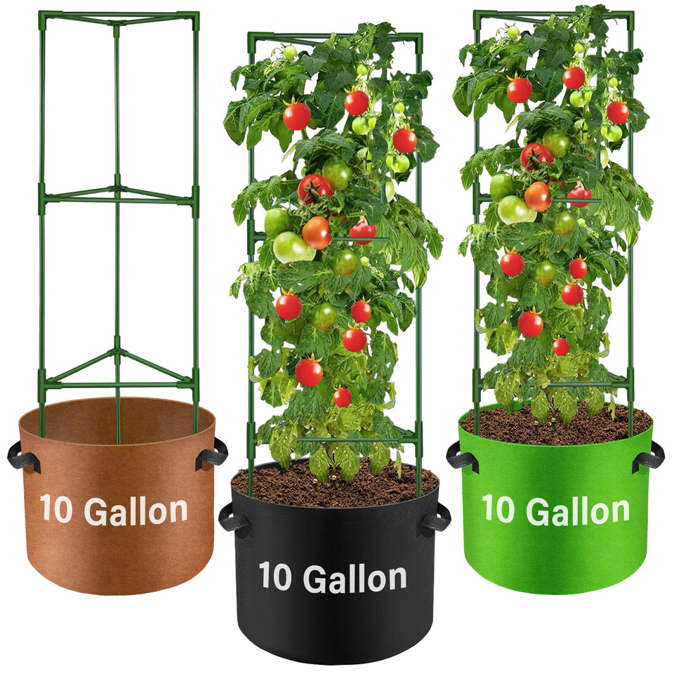 Suntee tomato cage assembly demonstrates a sturdy, space-saving balcony garden setup.