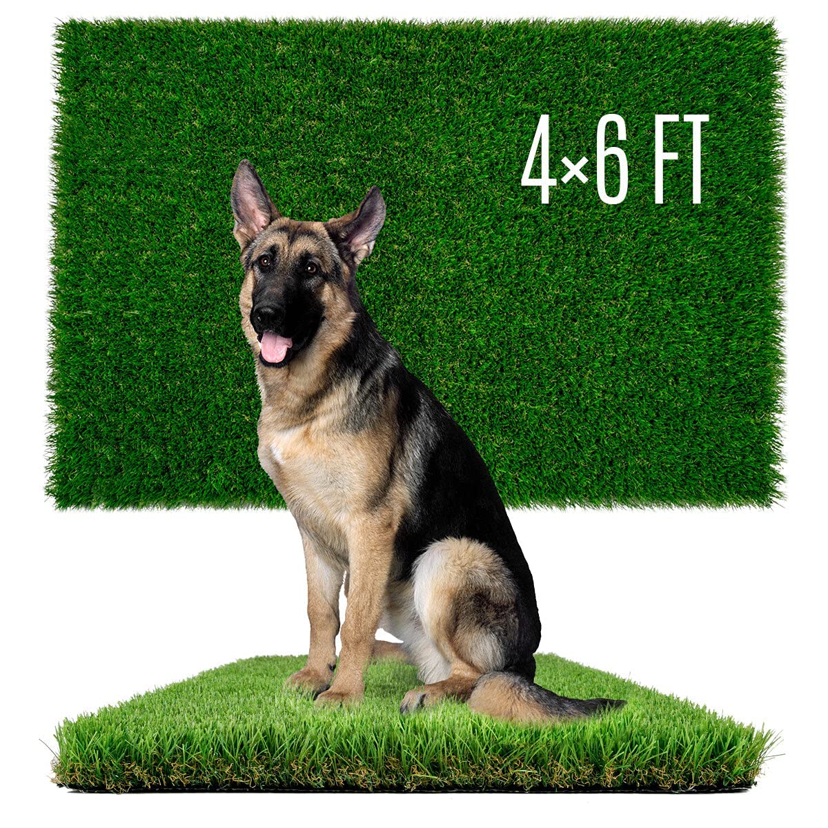SunTurf dog grass 4x6ft setup for indoor-outdoor potty training.