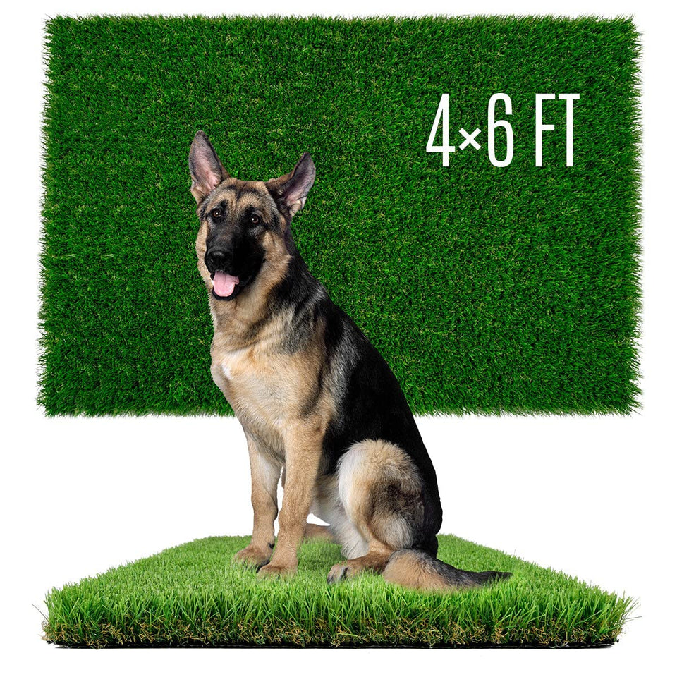 SunTurf dog grass 4x6ft setup for indoor-outdoor potty training.