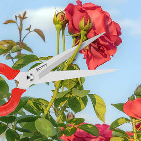 Sunuly pruning shears ideal for deadheading flowers and trimming small stems.