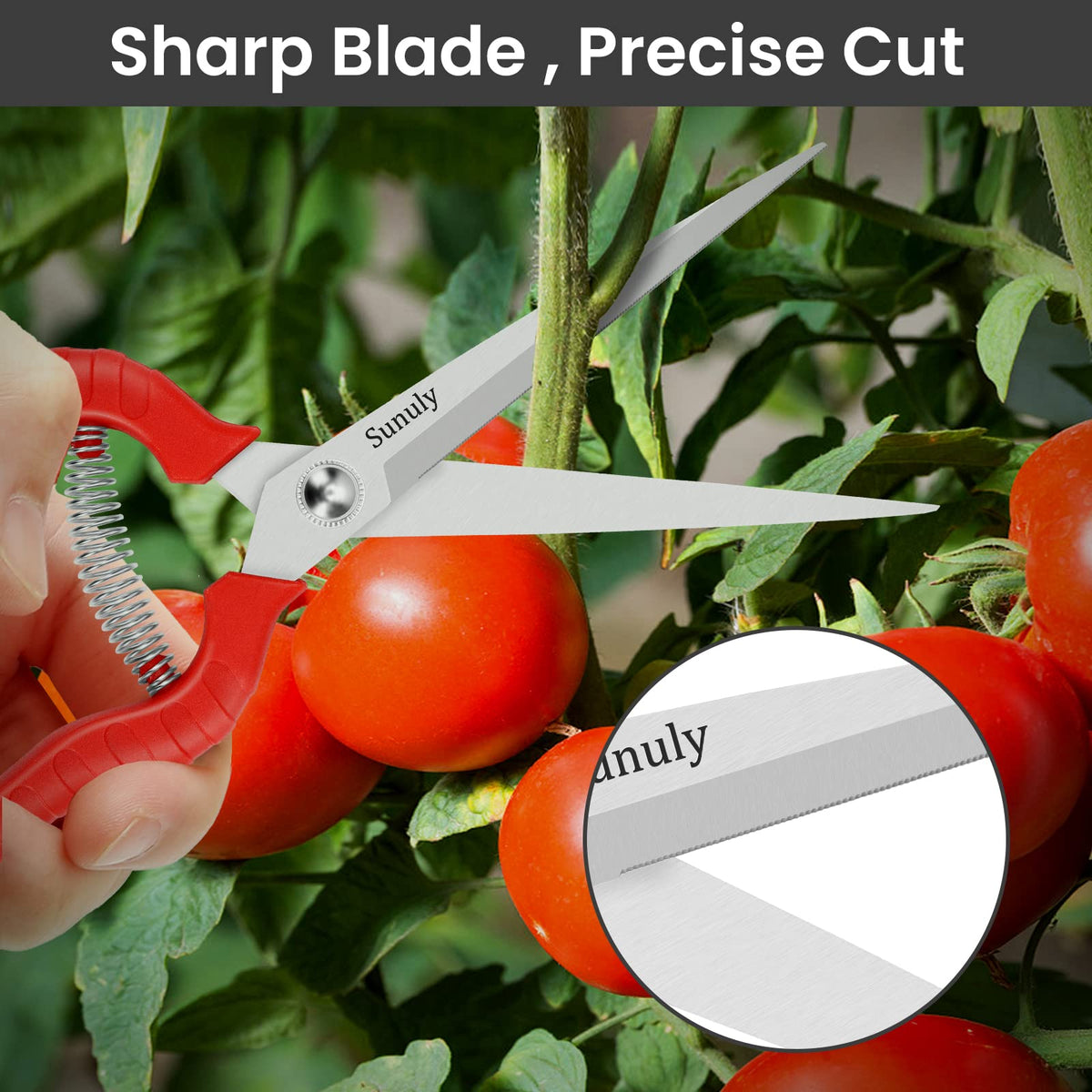 Sunuly pruning shears with ultra sharp stainless steel blades for clean cuts.